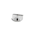Ring with White Gold Zircons