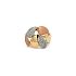 Ring with Zirconias in Gold Combination
