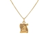 Gold Pendant Aquarius