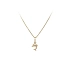 Golden Dolphin Pendant