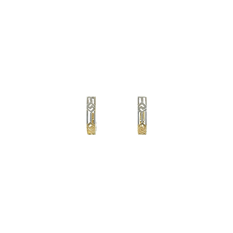 Earrings made of Combination Gold