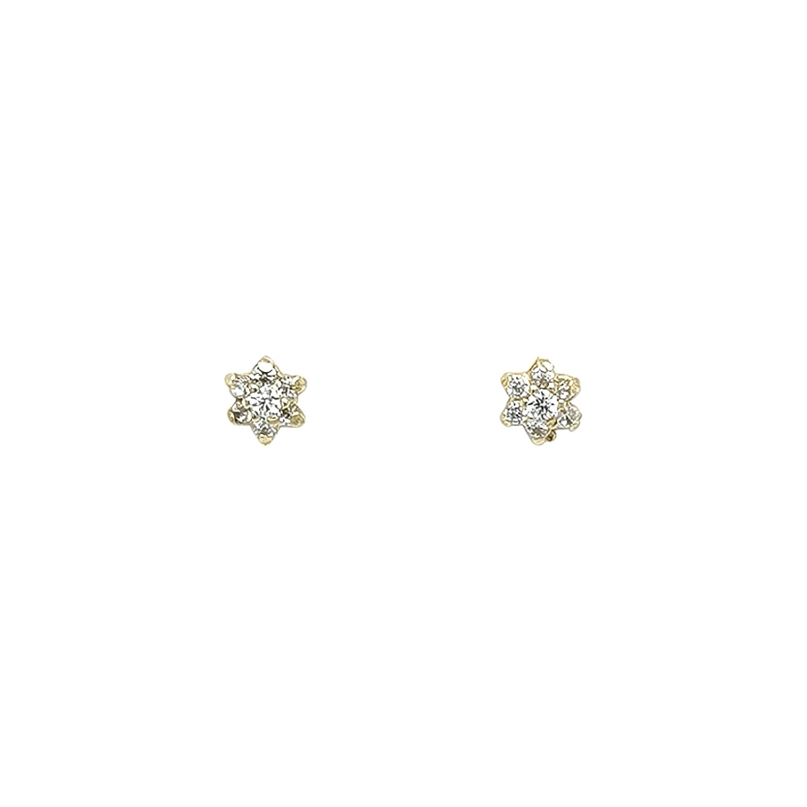 Gold Pecky Earrings with Zircones