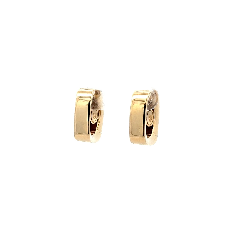 Elegant Round Earrings with Smooth Shine
