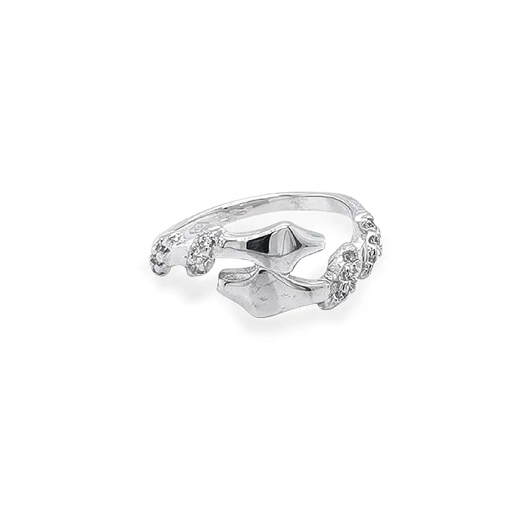 Zlatý Prsten se Zirkony