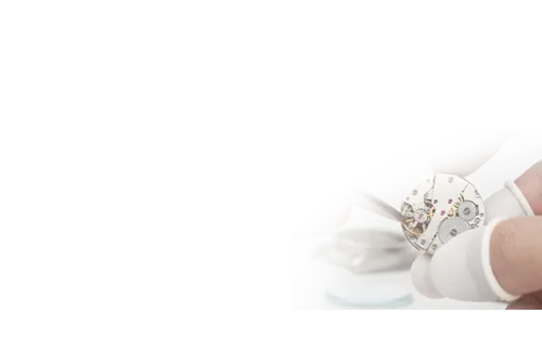 Profesionální servis